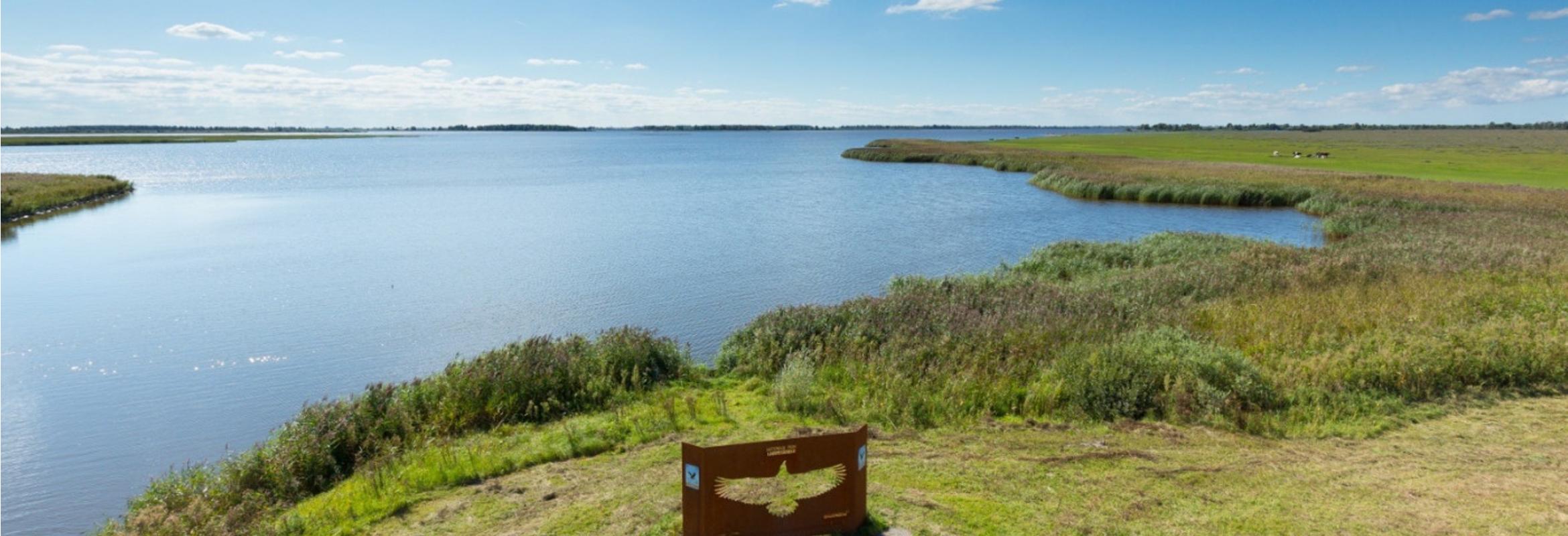 Stichting 40Mijl organiseert Coronamars