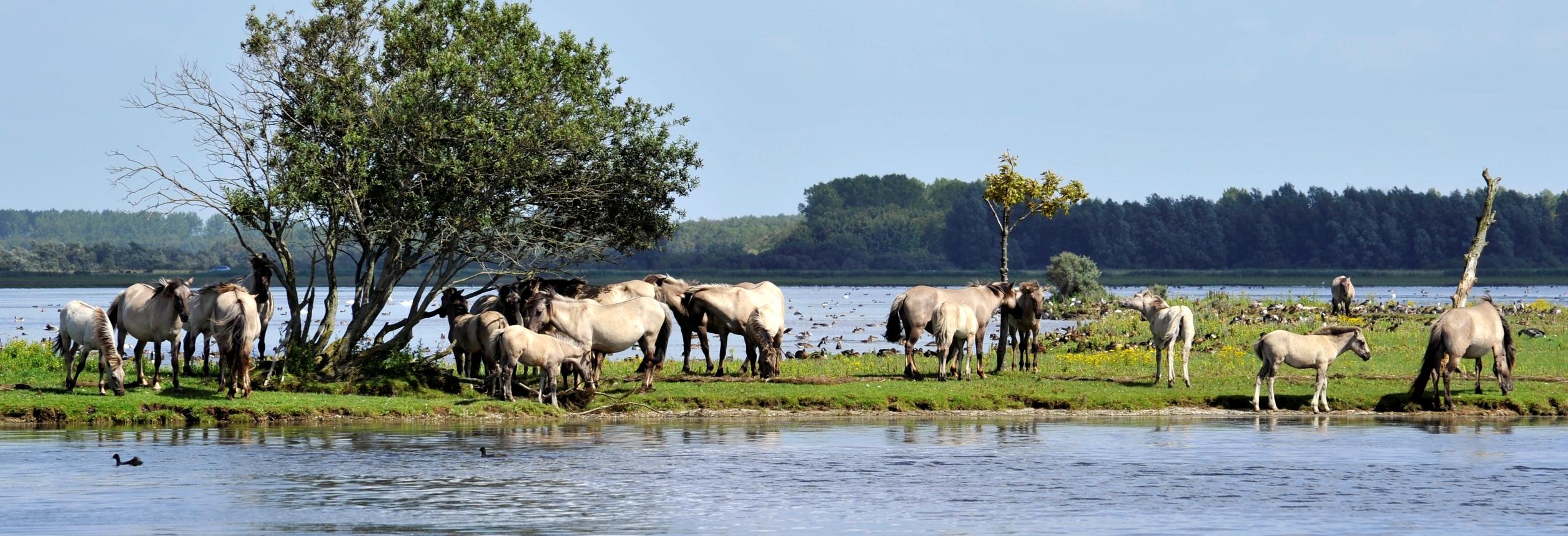 UNESCO NATIONAAL PARK