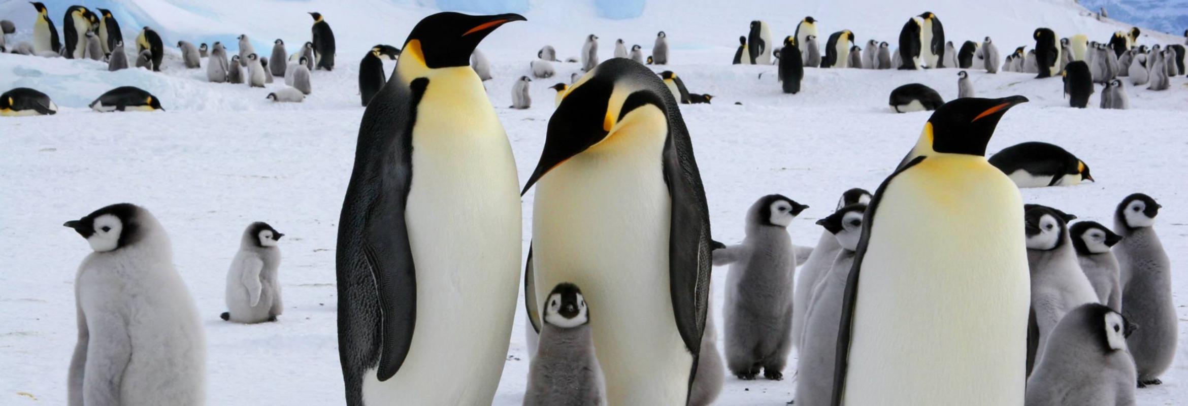 Wij gaan klimaatneutraal!