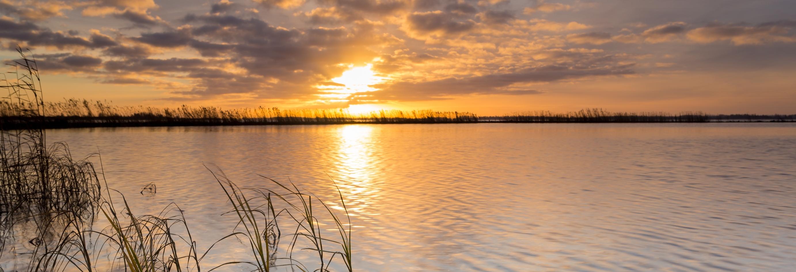 DARK SKY PARK LAUWERSMEER