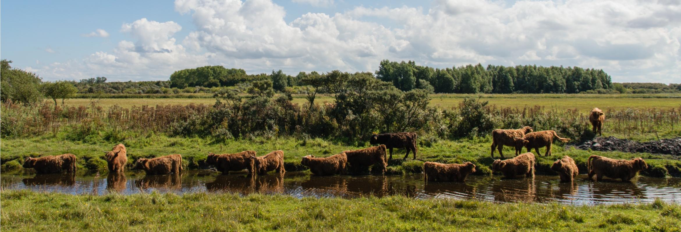 Nieuwe website live!